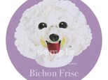 ビション フリーゼ《犬種名ステッカー/小型犬》の画像