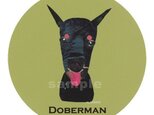 ドーベルマン《犬種名ステッカー/大型犬》の画像