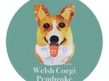 ウェルシュ コーギー ペンブローク《犬種名ステッカー/小型犬》の画像