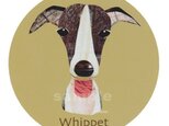 ウィペット《犬種名ステッカー/中型犬》の画像
