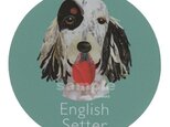 イングリッシュ セター《犬種名ステッカー/大型犬》の画像