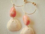 shell＊coral earringの画像