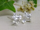 『花の誇り』925ピアス