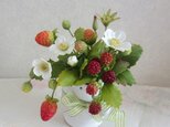 Sold ベリーのアレンジー☆の画像