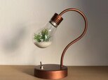 bulb terrarium miniの画像