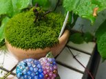 2色のアジサイの七宝焼ブローチ【受注制作】　