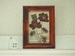 押し花フレーム【Antiqueシリーズ】