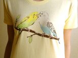 セキセイインコのTシャツの画像