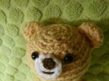 編みクマさん クッキー君.の画像