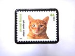アメリカ｢猫」切手ブローチ 371の画像