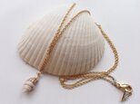 mini shell necklaceの画像