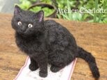 羊毛フェルト　黒猫の子猫ちゃん♪の画像