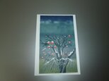 参考商品/冬の空と柿の木（ポストカード）の画像