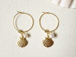 Shell hoop earringsの画像