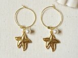 Starfish hoop earringsの画像