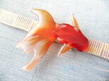 (帯留)涼しげな赤い金魚＜特大＞　右向きの画像