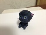 夜だけ猫さん（ナイトシリーズ）の画像