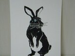 葉書〈Rabbit-1(黒)〉