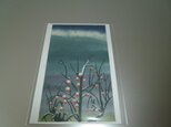 参考商品/冬の空と柿の木2（ポストカード）の画像
