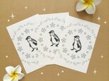 ポストカード ペンギン 同種3枚組の画像