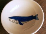 シロナガスクジラの鉢