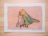 クリアファイル 柄② とりとぼくの画像