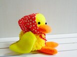 Small duckの画像