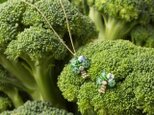 『野菜モチーフのアクセサリー/ピン』 brocoliの画像