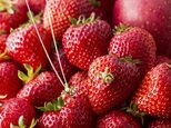 『野菜モチーフのアクセサリー/ピン』 fraiseの画像