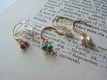 A fine and delicate gem Piercedの画像