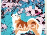 柴犬と桜／イラストメモ帳の画像