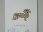 葉書〈ダックスフント〉