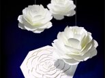 咲くようにひらく 花のメッセージカード〈ローズ〉　forバースデー・ウェディング・アニバーサリーの画像