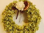 ナチュラルグリーンのアナベルリースの画像