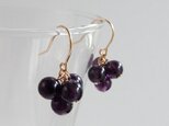【14kgf】アメシストの葡萄ピアス