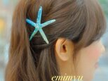 Star Fish Hair Pinの画像