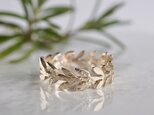 Olive leaf ring [R066K10]の画像