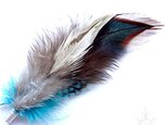 feather hat pin -blue x brown-の画像