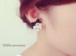 ribbon bijou pierce.の画像