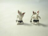 ピアス(ウサギ)の画像