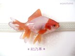 (帯留)リアルな金魚　橙×白の画像