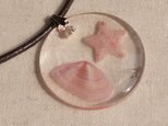 さくら貝のチョーカー（桜貝とヒトデ）