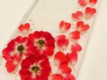 紅い薔薇フレームのiPhoneカバーの画像