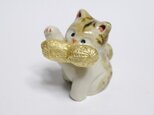 金運ピーナッツ猫の画像