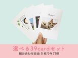選べる39cardセットの画像