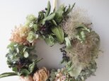 Wreath-P-2の画像