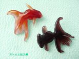 （ブローチ2個ペア）赤い金魚＆黒デメキンの画像