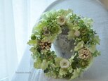 やわらかな緑色の柊のリース
