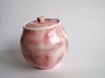 Pink&Brown Pot