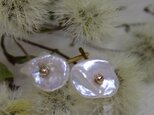 パールの花＊ケシパール14kgfピアス